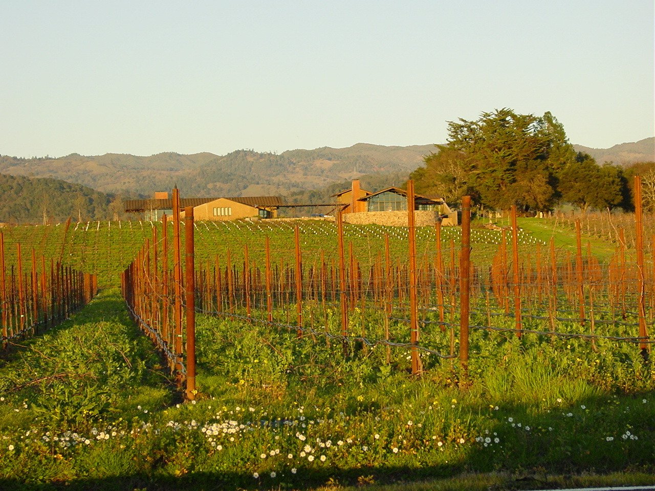 Choosing Between Resorts and Hotels in Napa Valley: What’s Right for You?