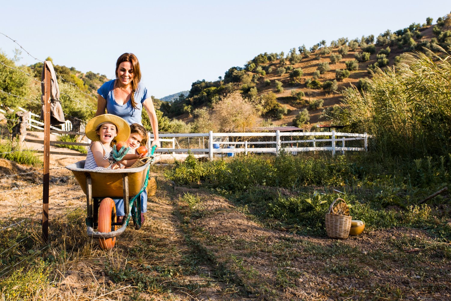 Fun Activities to do while visiting during Harvest time!